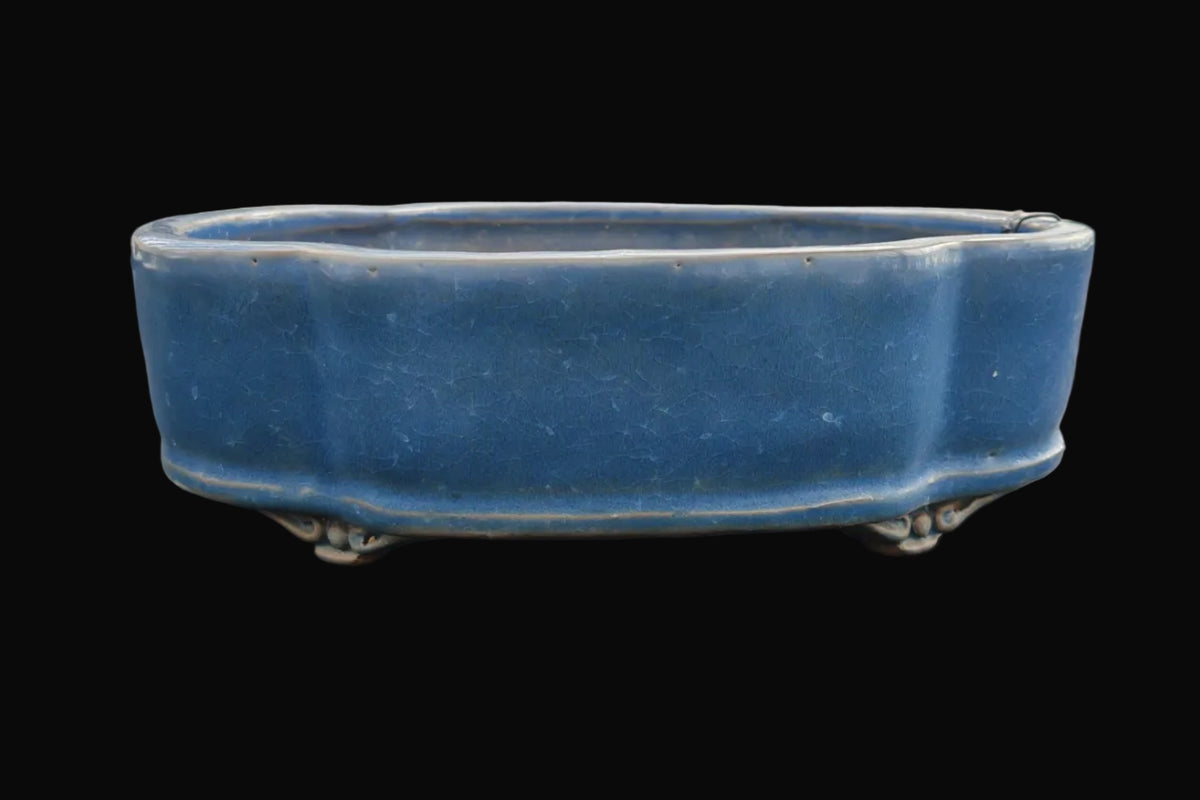 Vaso Nuvola azzurro, Tokoname, Syuhou