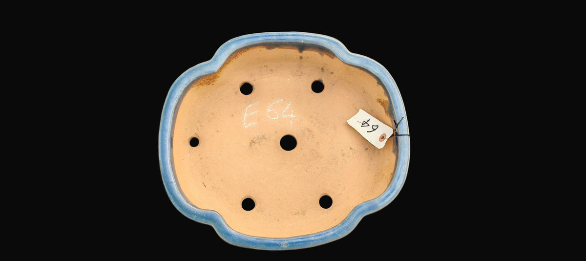 Vaso Nuvola azzurro, Tokoname, Syuhou